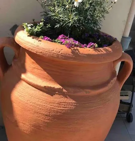 Apartamento T3 Individuel Avec Acces Piscine Et Jardin Prives