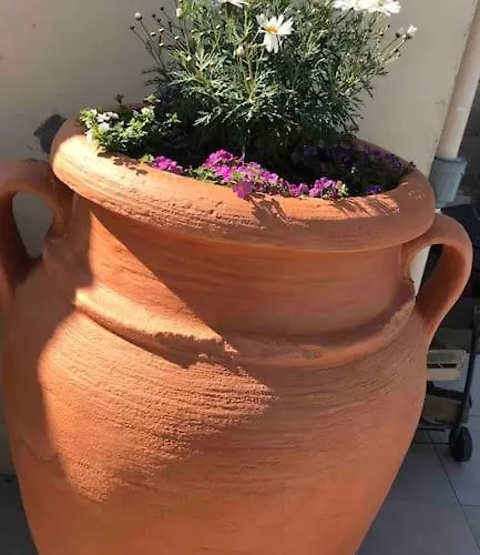 Apartmán T3 Individuel Avec Acces Piscine Et Jardin Prives